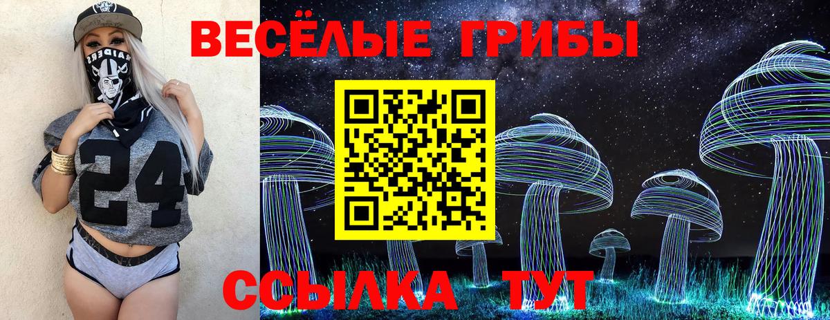 Галлюциногенные грибы GOLDEN TEACHER Сорочинск